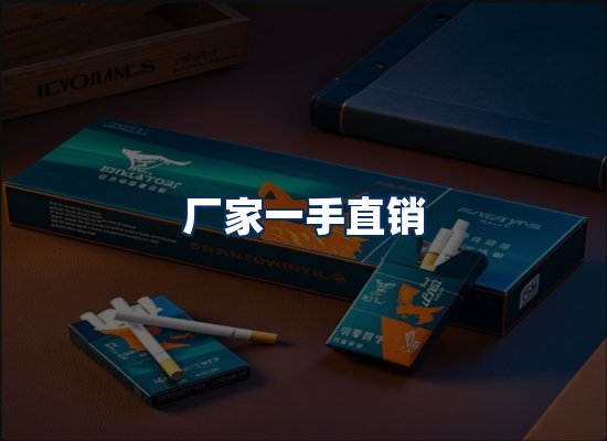 专业团队办公环境